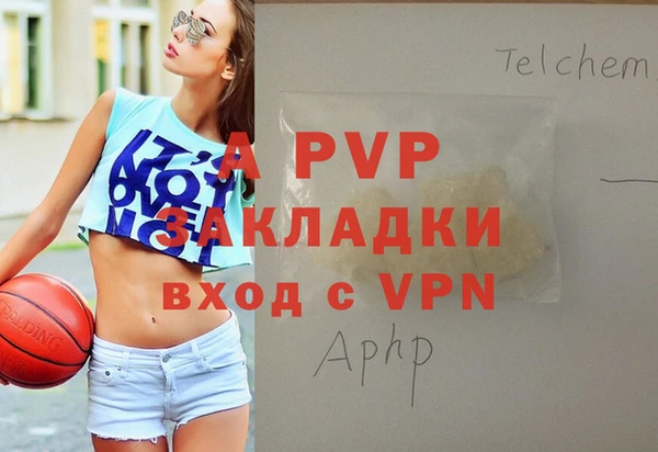 сатива Белокуриха